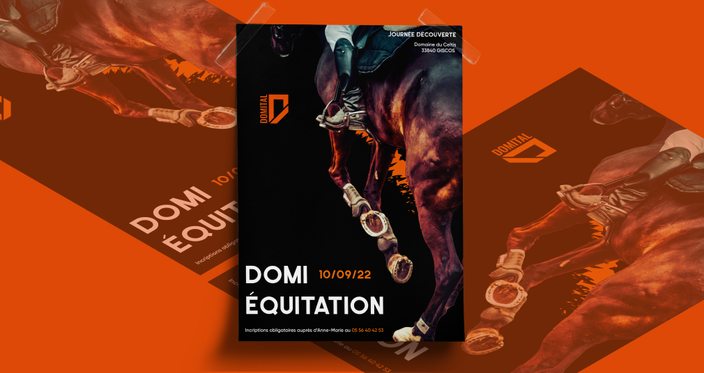 affiche Domital